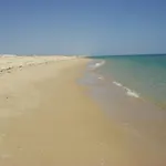 Apartmán Ria Formosa No Mar Fuzeta