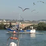 Apartmán Ria Formosa No Mar Fuzeta