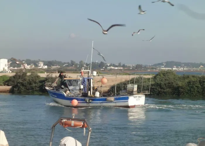 Daire Ria Formosa No Mar Fuzeta